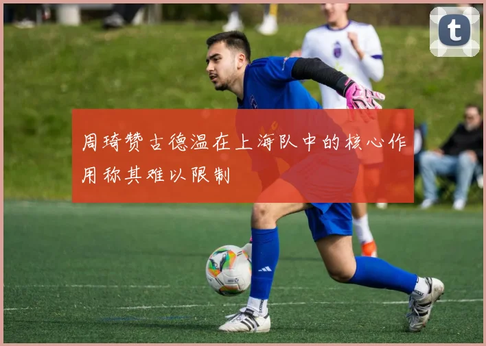 周琦赞古德温在上海队中的核心作用称其难以限制