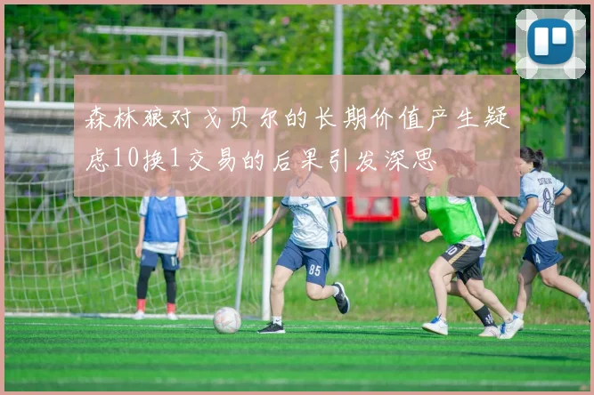 森林狼对戈贝尔的长期价值产生疑虑10换1交易的后果引发深思